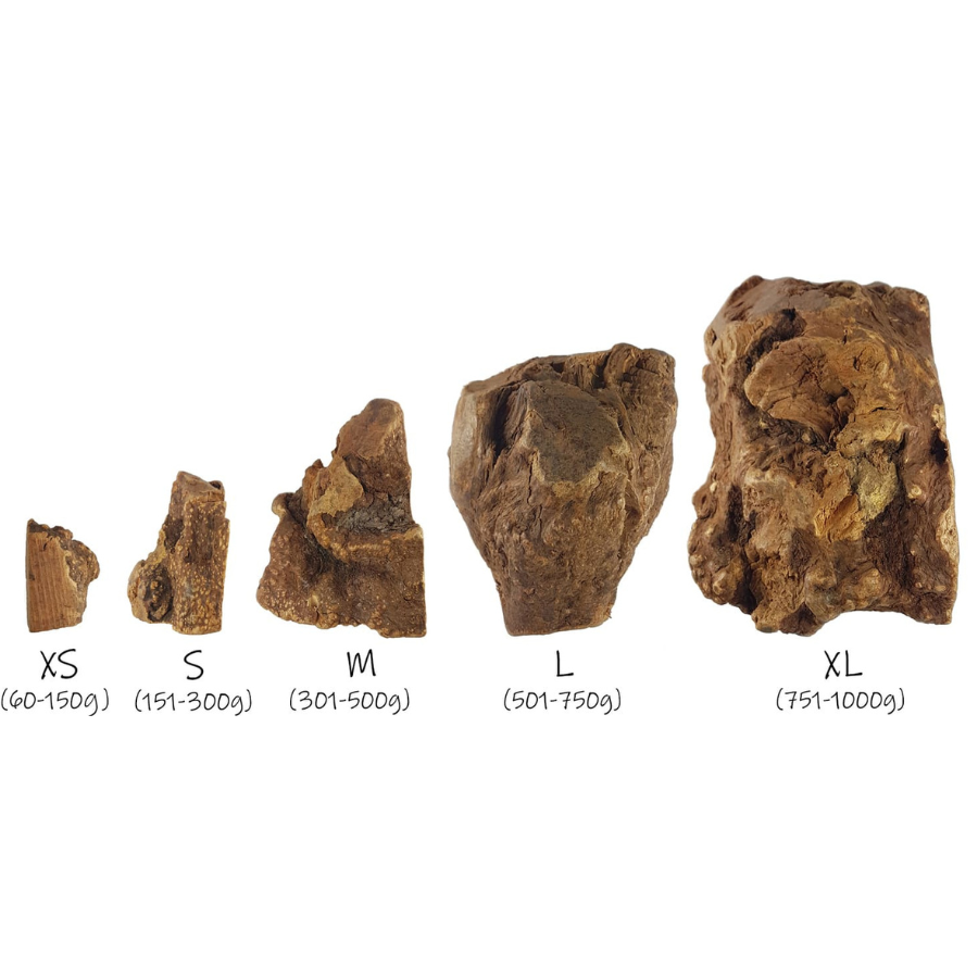 BIMORDISCOS Ra&iacute;z de brezo para perros, , large Imagen numero 4